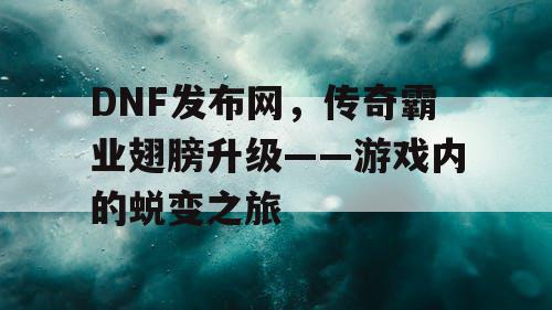 DNF发布网，传奇霸业翅膀升级——游戏内的蜕变之旅