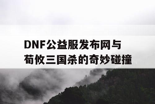 DNF公益服发布网与荀攸三国杀的奇妙碰撞