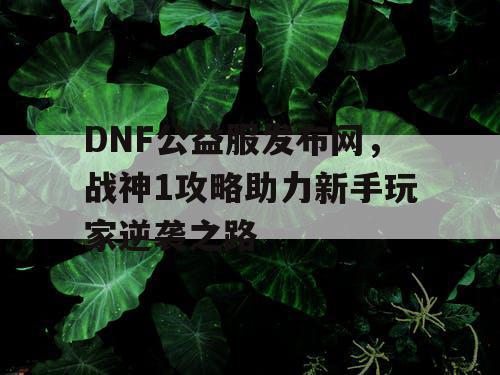 DNF公益服发布网，战神1攻略助力新手玩家逆袭之路