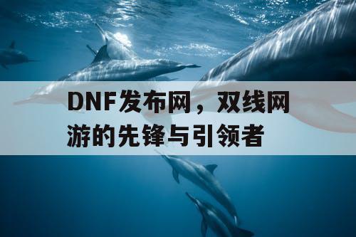 DNF发布网，双线网游的先锋与引领者