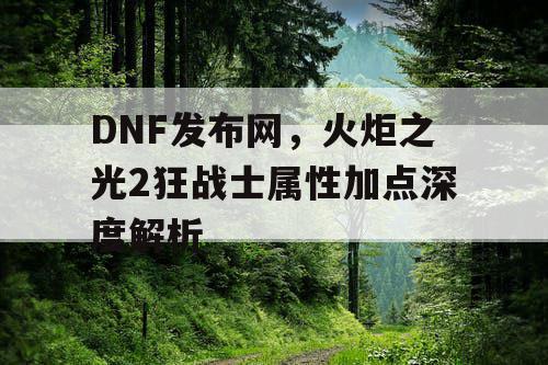 DNF发布网，火炬之光2狂战士属性加点深度解析