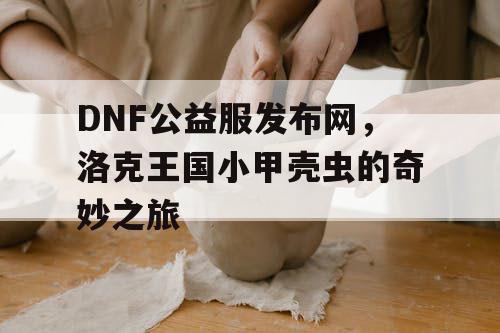 DNF公益服发布网，洛克王国小甲壳虫的奇妙之旅