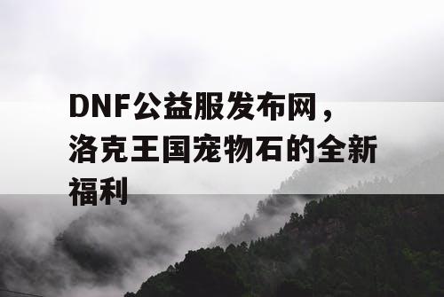 DNF公益服发布网，洛克王国宠物石的全新福利