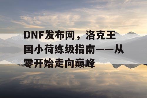 DNF发布网，洛克王国小荷练级指南——从零开始走向巅峰